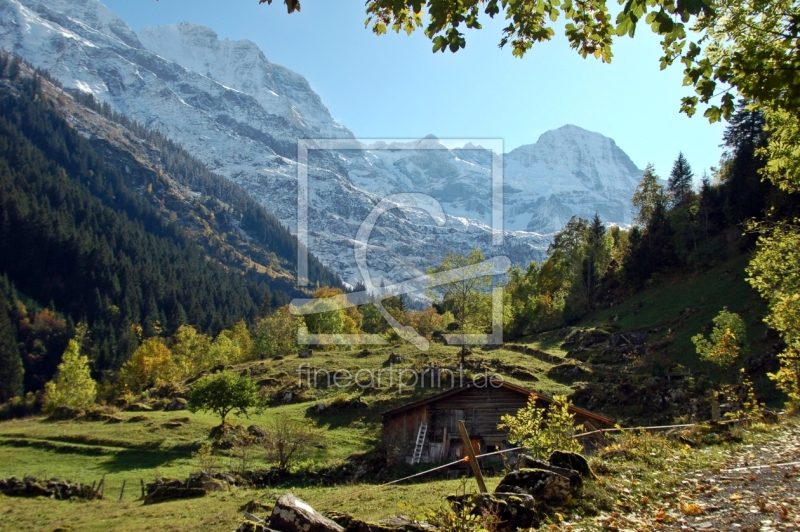 frei wählbarer Bildausschnitt für Ihr Bild auf Schieferplatte