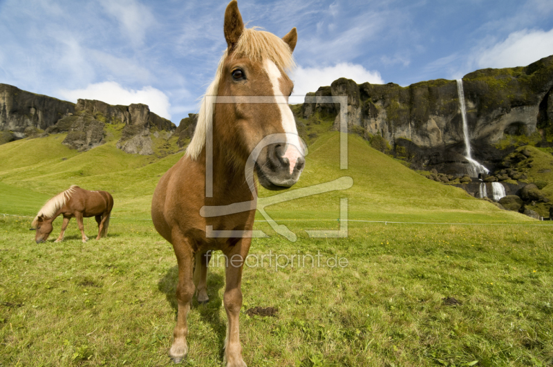frei wählbarer Bildausschnitt für Ihr Bild auf Schieferplatte