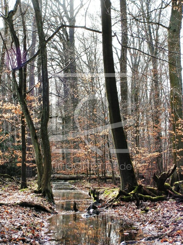 frei wählbarer Bildausschnitt für Ihr Bild auf Schieferplatte