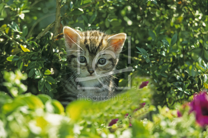 frei wählbarer Bildausschnitt für Ihr Bild auf Schieferplatte