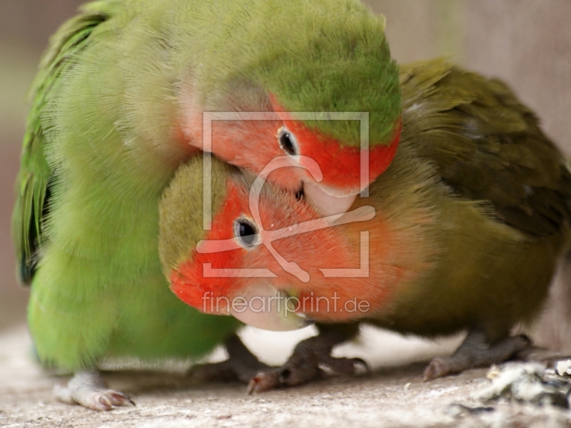 frei wählbarer Bildausschnitt für Ihr Bild auf Schieferplatte