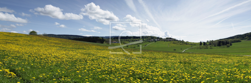 frei wählbarer Bildausschnitt für Ihr Bild auf Schieferplatte