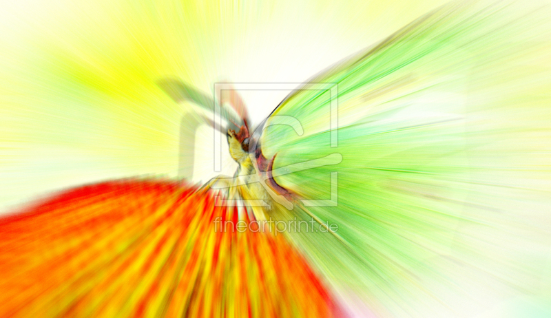 frei wählbarer Bildausschnitt für Ihr Bild auf Schieferplatte