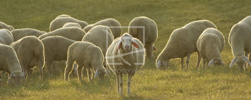 frei wählbarer Bildausschnitt für Ihr Bild auf Schieferplatte