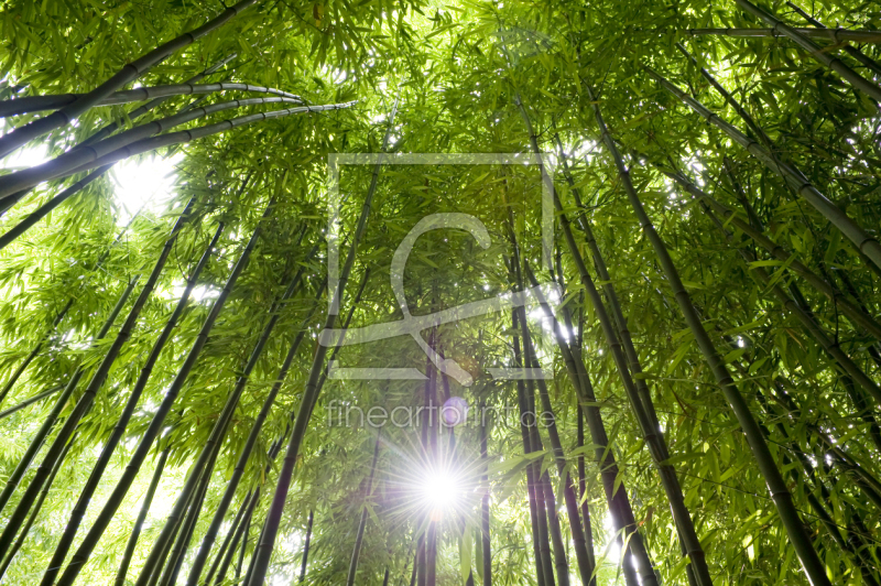 frei wählbarer Bildausschnitt für Ihr Bild auf Schieferplatte