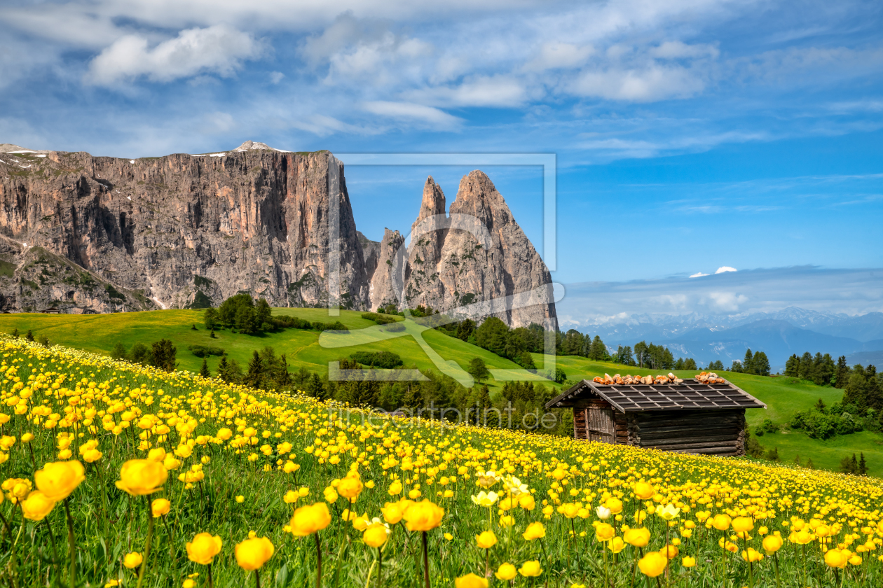 Frühling auf der Seiser Alm in Südtirol als