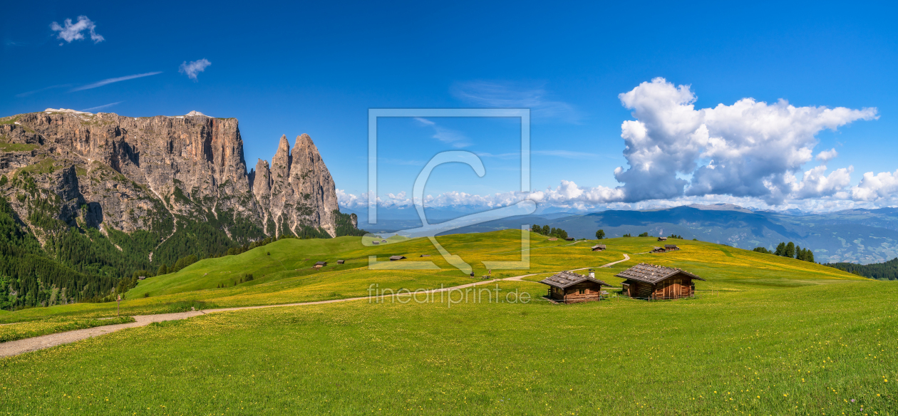 Alm als Seiser im Südtirol Frühling FotoTapetendruck