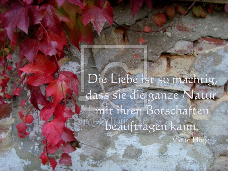 frei wählbarer Bildausschnitt für Ihr Bild auf Tapete