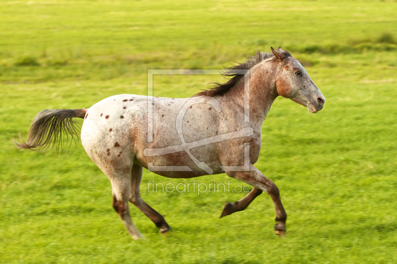 frei wählbarer Bildausschnitt für Ihr Bild auf Tapete