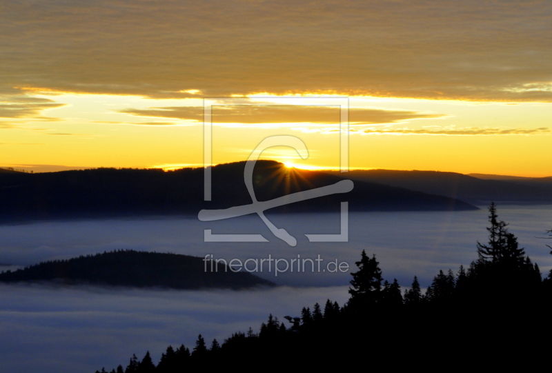 frei wählbarer Bildausschnitt für Ihr Bild auf Tapete