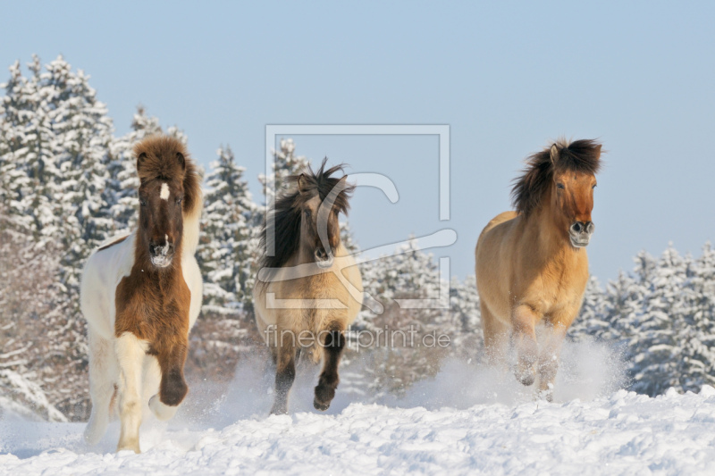 frei w&auml;hlbarer Bildausschnitt f&uuml;r Ihr Bild auf Tapete