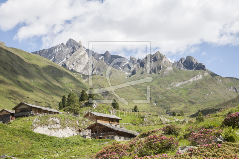 frei wählbarer Bildausschnitt für Ihr Bild auf Tapete