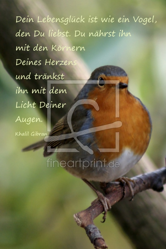 frei wählbarer Bildausschnitt für Ihr Bild auf Tapete
