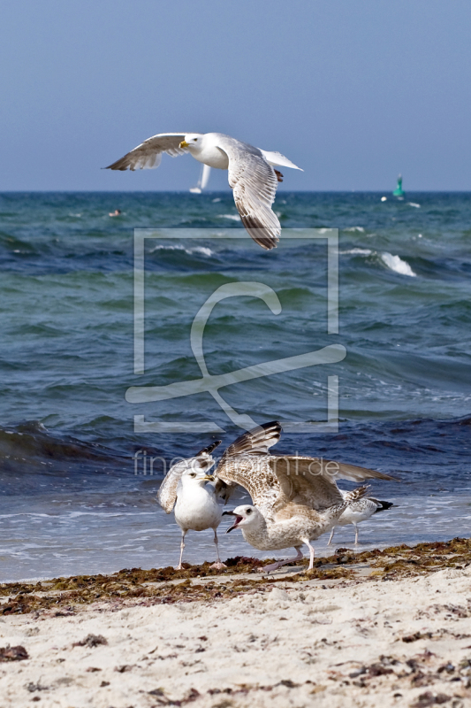 frei wählbarer Bildausschnitt für Ihr Bild auf Tapete