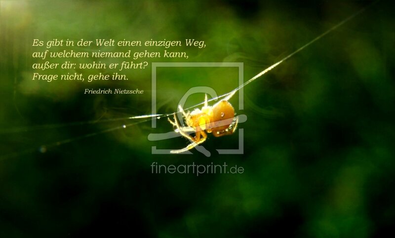 frei wählbarer Bildausschnitt für Ihr Bild auf Tapete