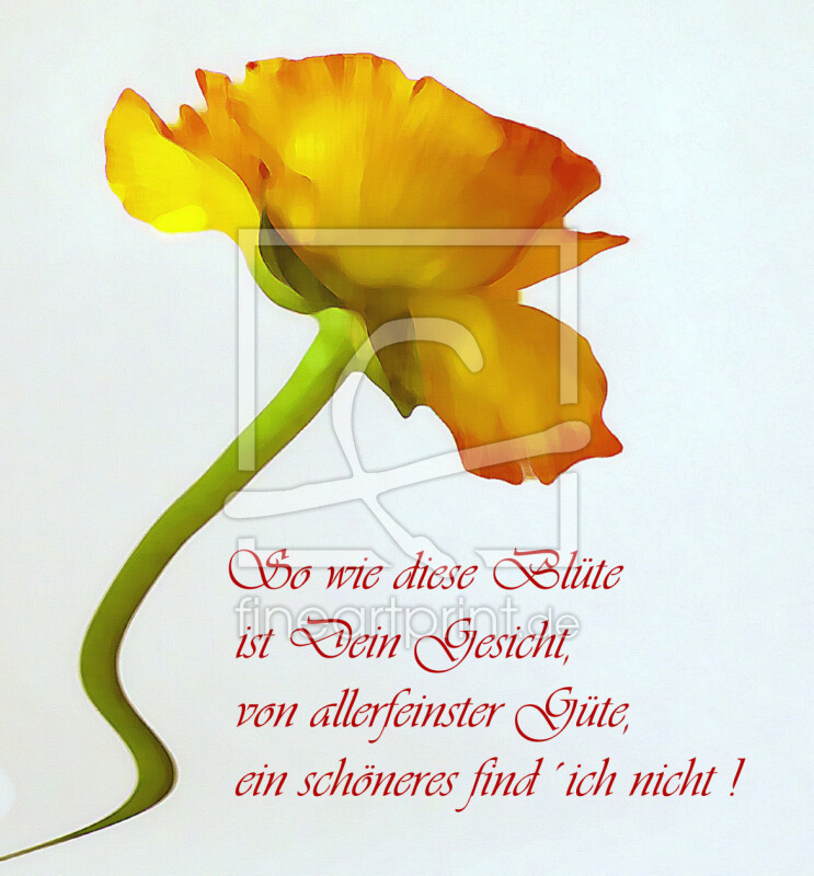 frei wählbarer Bildausschnitt für Ihr Bild auf Tapete