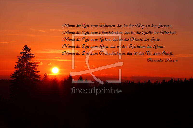 frei wählbarer Bildausschnitt für Ihr Bild auf Tapete
