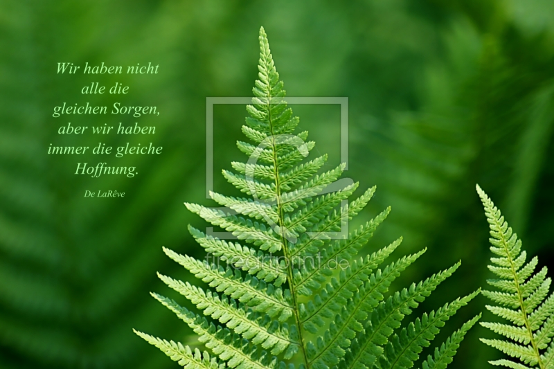 frei wählbarer Bildausschnitt für Ihr Bild auf Tapete