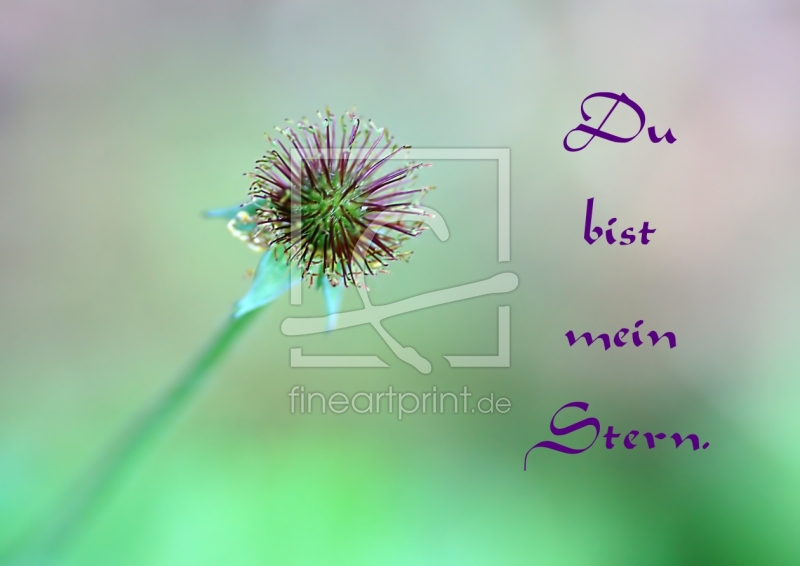 frei wählbarer Bildausschnitt für Ihr Bild auf Tapete