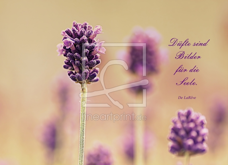 frei wählbarer Bildausschnitt für Ihr Bild auf Tapete