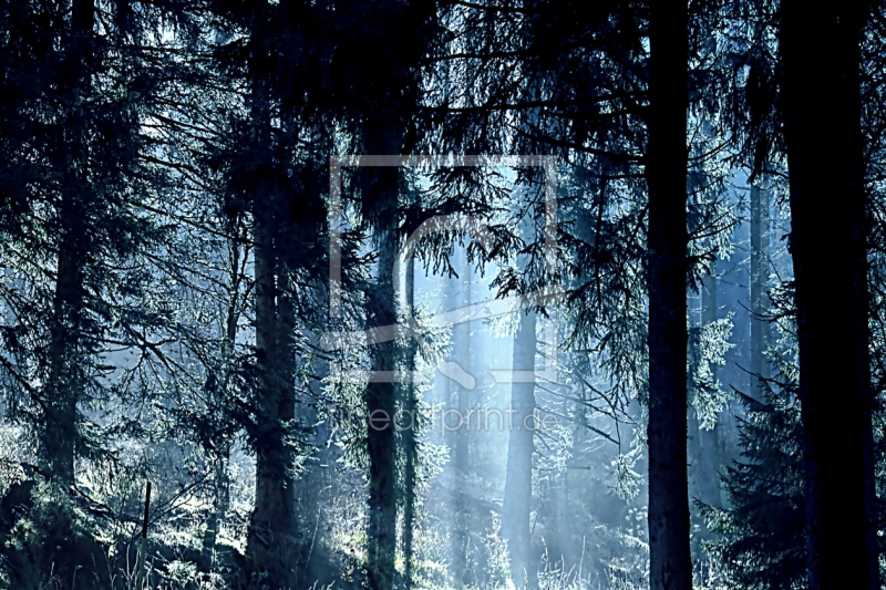 frei wählbarer Bildausschnitt für Ihr Bild auf Tapete