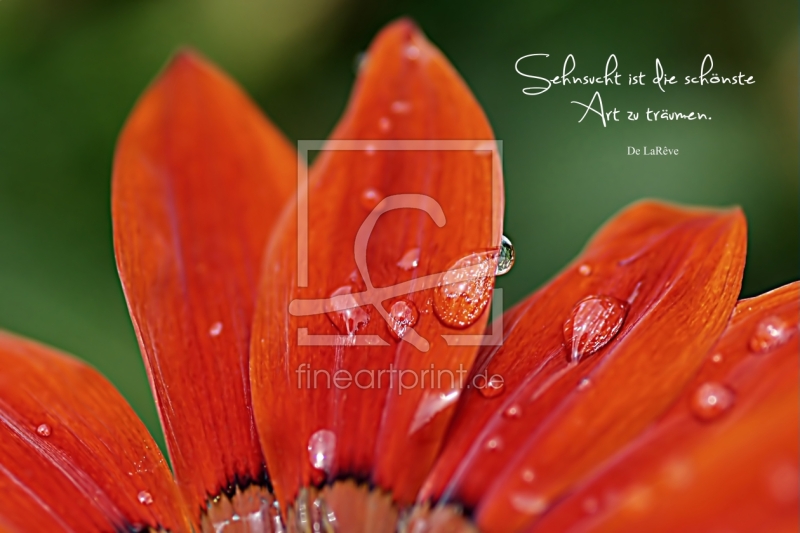 frei w&auml;hlbarer Bildausschnitt f&uuml;r Ihr Bild auf Tapete