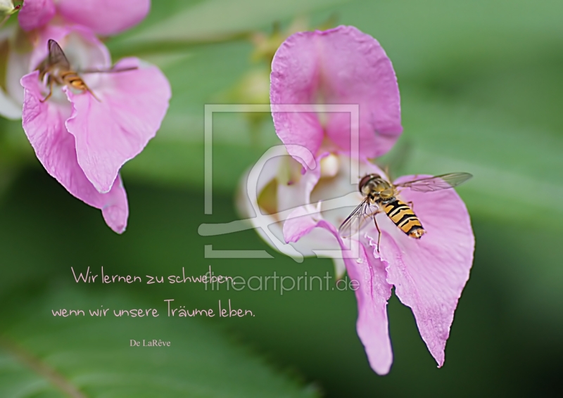 frei w&auml;hlbarer Bildausschnitt f&uuml;r Ihr Bild auf Tapete