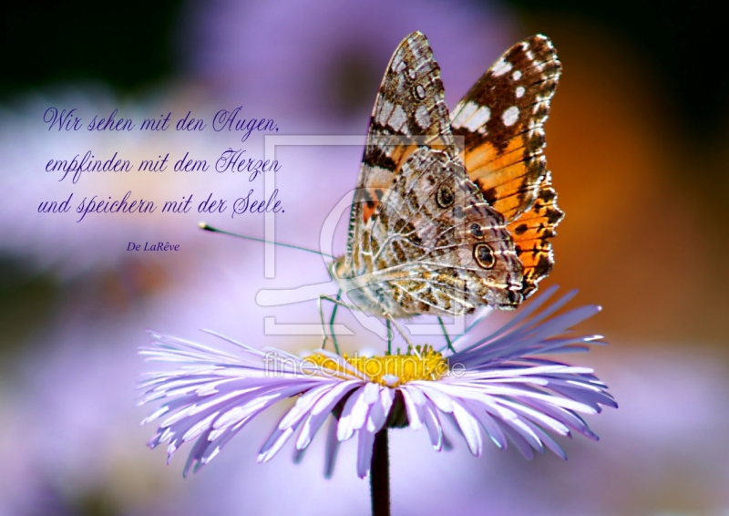 frei wählbarer Bildausschnitt für Ihr Bild auf Tapete