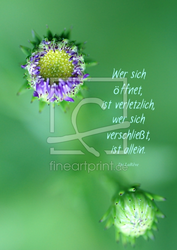 frei wählbarer Bildausschnitt für Ihr Bild auf Tapete