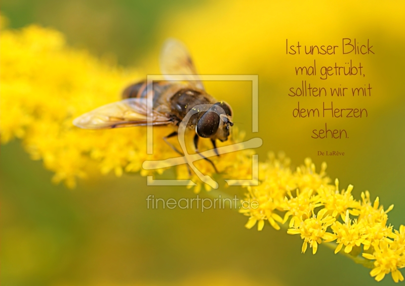 frei wählbarer Bildausschnitt für Ihr Bild auf Tapete