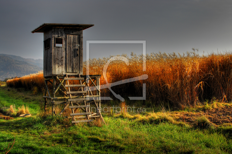 frei wählbarer Bildausschnitt für Ihr Bild auf Tapete