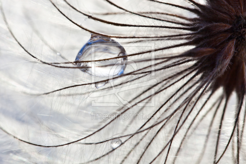 frei w&auml;hlbarer Bildausschnitt f&uuml;r Ihr Bild auf Tapete