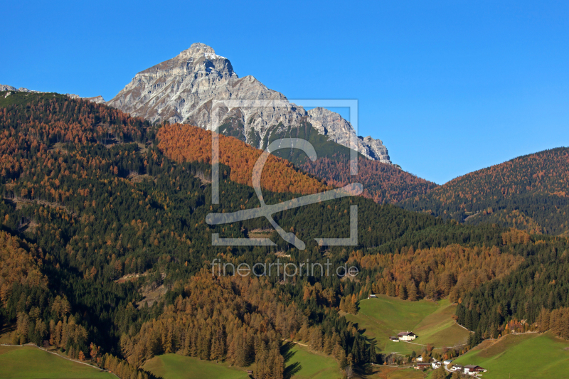 frei wählbarer Bildausschnitt für Ihr Bild auf Tapete
