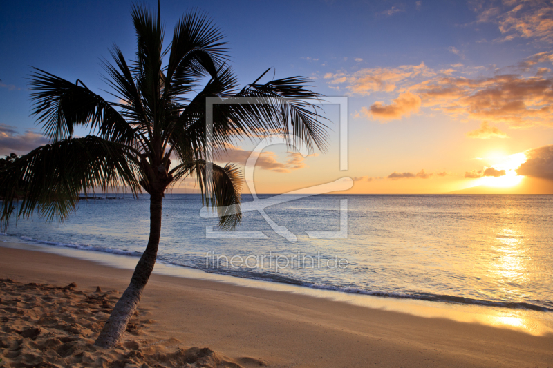 frei w&auml;hlbarer Bildausschnitt f&uuml;r Ihr Bild auf Tapete