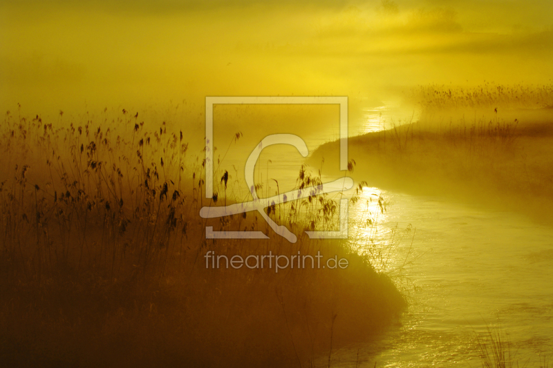 frei w&auml;hlbarer Bildausschnitt f&uuml;r Ihr Bild auf Tapete