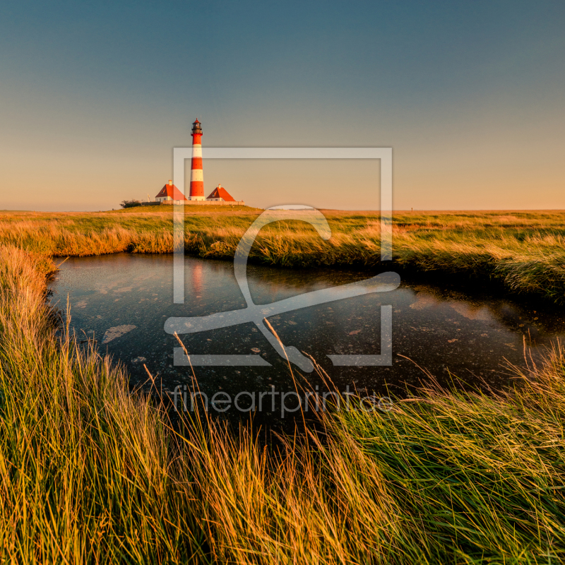 frei wählbarer Bildausschnitt für Ihr Bild auf Tapete