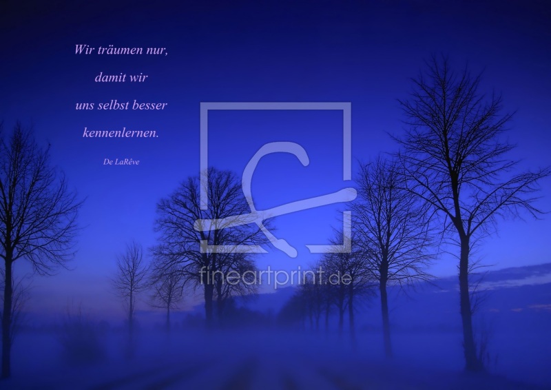 frei wählbarer Bildausschnitt für Ihr Bild auf Tapete