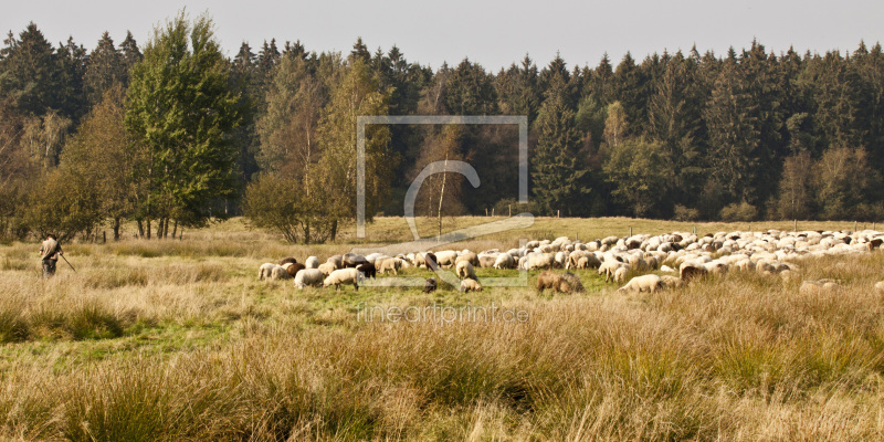 frei wählbarer Bildausschnitt für Ihr Bild auf Tapete