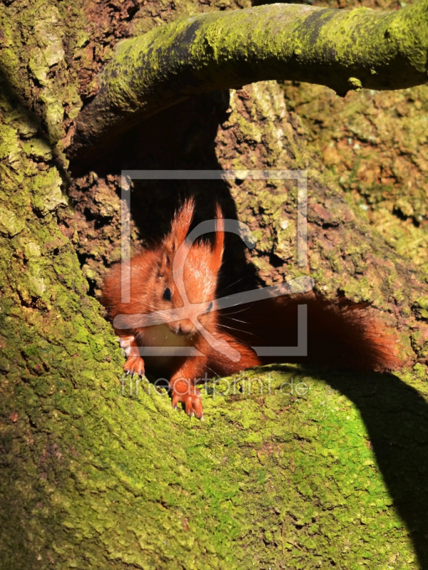 frei w&auml;hlbarer Bildausschnitt f&uuml;r Ihr Bild auf Tapete
