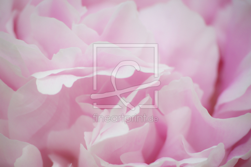 frei w&auml;hlbarer Bildausschnitt f&uuml;r Ihr Bild auf Tapete