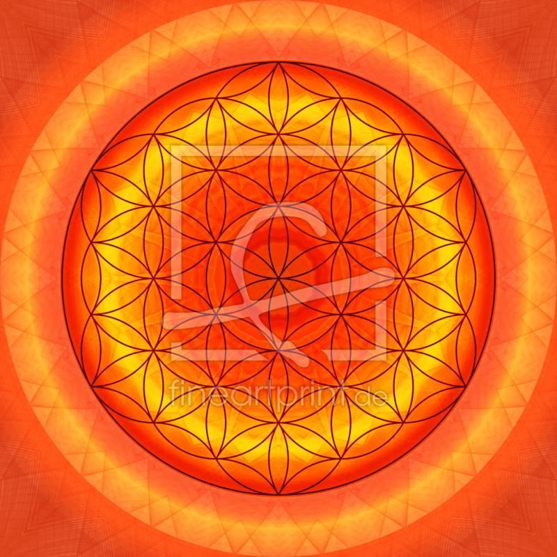 frei w&auml;hlbarer Bildausschnitt f&uuml;r Ihr Bild auf Tapete