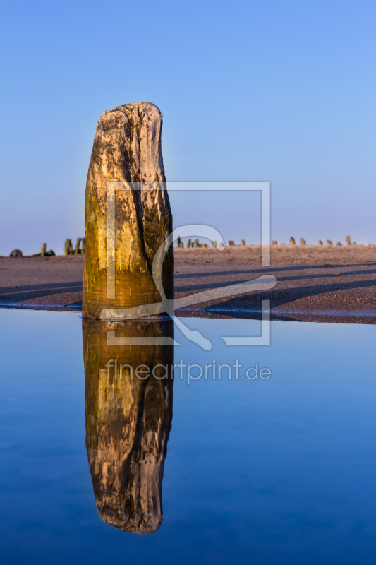 frei wählbarer Bildausschnitt für Ihr Bild auf Tapete