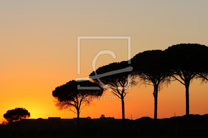 frei wählbarer Bildausschnitt für Ihr Bild auf Tapete