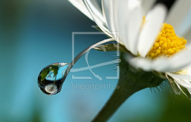 frei wählbarer Bildausschnitt für Ihr Bild auf Tapete