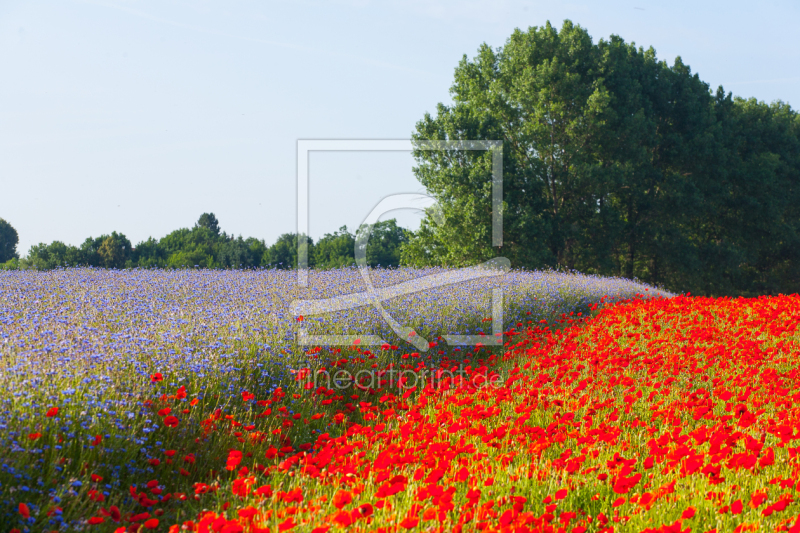 frei w&auml;hlbarer Bildausschnitt f&uuml;r Ihr Bild auf Tapete