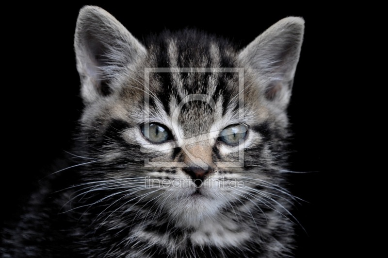 frei w&auml;hlbarer Bildausschnitt f&uuml;r Ihr Bild auf Tapete