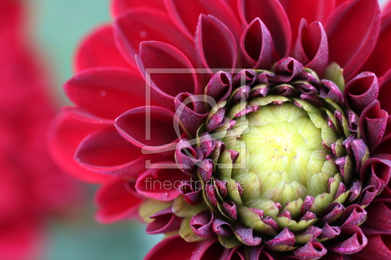 frei wählbarer Bildausschnitt für Ihr Bild auf Tapete