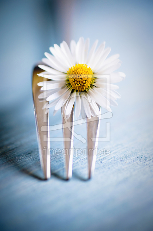 frei wählbarer Bildausschnitt für Ihr Bild auf Tapete