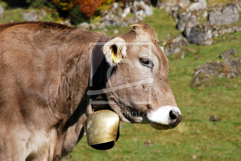 frei wählbarer Bildausschnitt für Ihr Bild auf Tapete