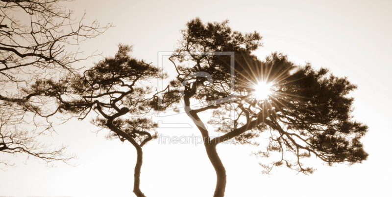 frei w&auml;hlbarer Bildausschnitt f&uuml;r Ihr Bild auf Tapete